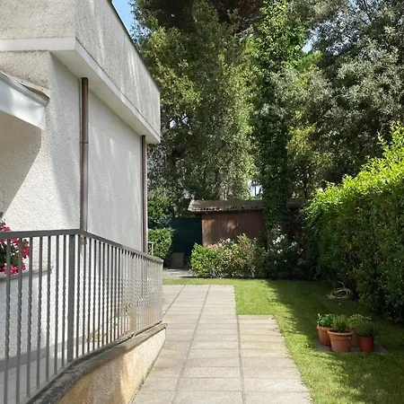 Ivano Forte dei Marmi