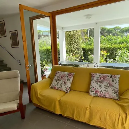 Ivano Forte dei Marmi